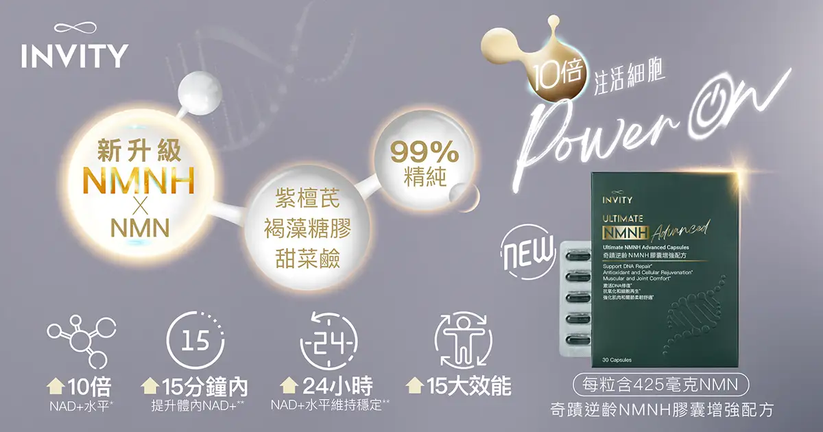 20240911 Website decoration 2 03